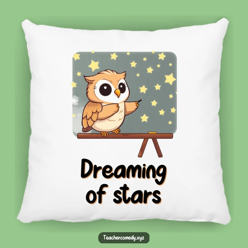 Funny Owl Pillow - Cozy Star Pointer Accent Pillow Gift