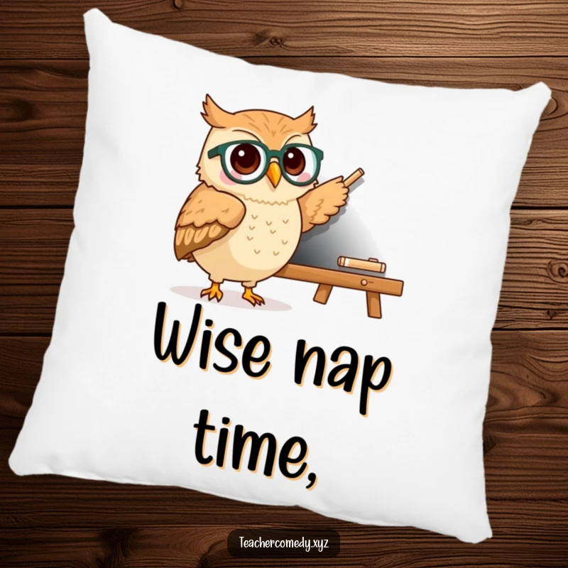 Funny kawaii owl wearing spectacles pointing to a chalkboard, a soft and comfortable pillow with a humorous and intelligent design.